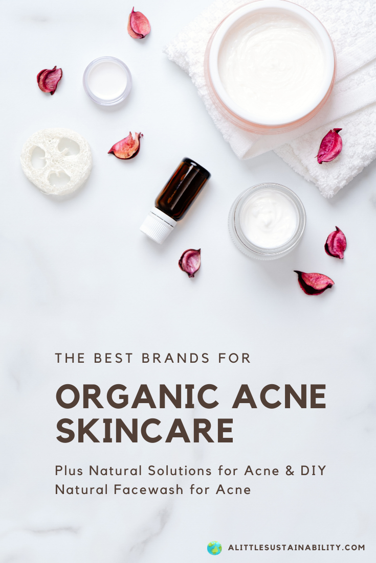 The Best Brands for Organic Acne Skin Care. Plaus Natural Solutions for Acne & DIY Natural Facewash for Acne.  We have highlighted some amazing sustainable organic skincare lines and some natural remedies and solutions to blemishes and acne. Be sure to add these products to your skin care routine. #acnetreatment #skincareaesthetic #naturalskincare 