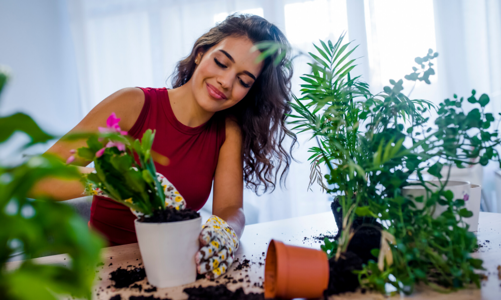 Try Home Gardening as a staycation activity