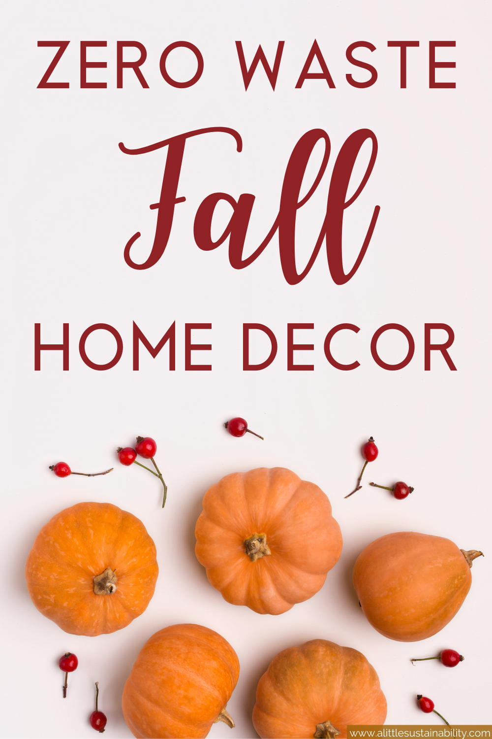 Fill your home with sustainable decor to celebrate the Fall season. From using nature like twigs, leaves, and pumpkins, to finding sustainable decor on Etsy and Target. An eco-friendly fall is on the way. Learn more at www.alittlesustainablitity.com