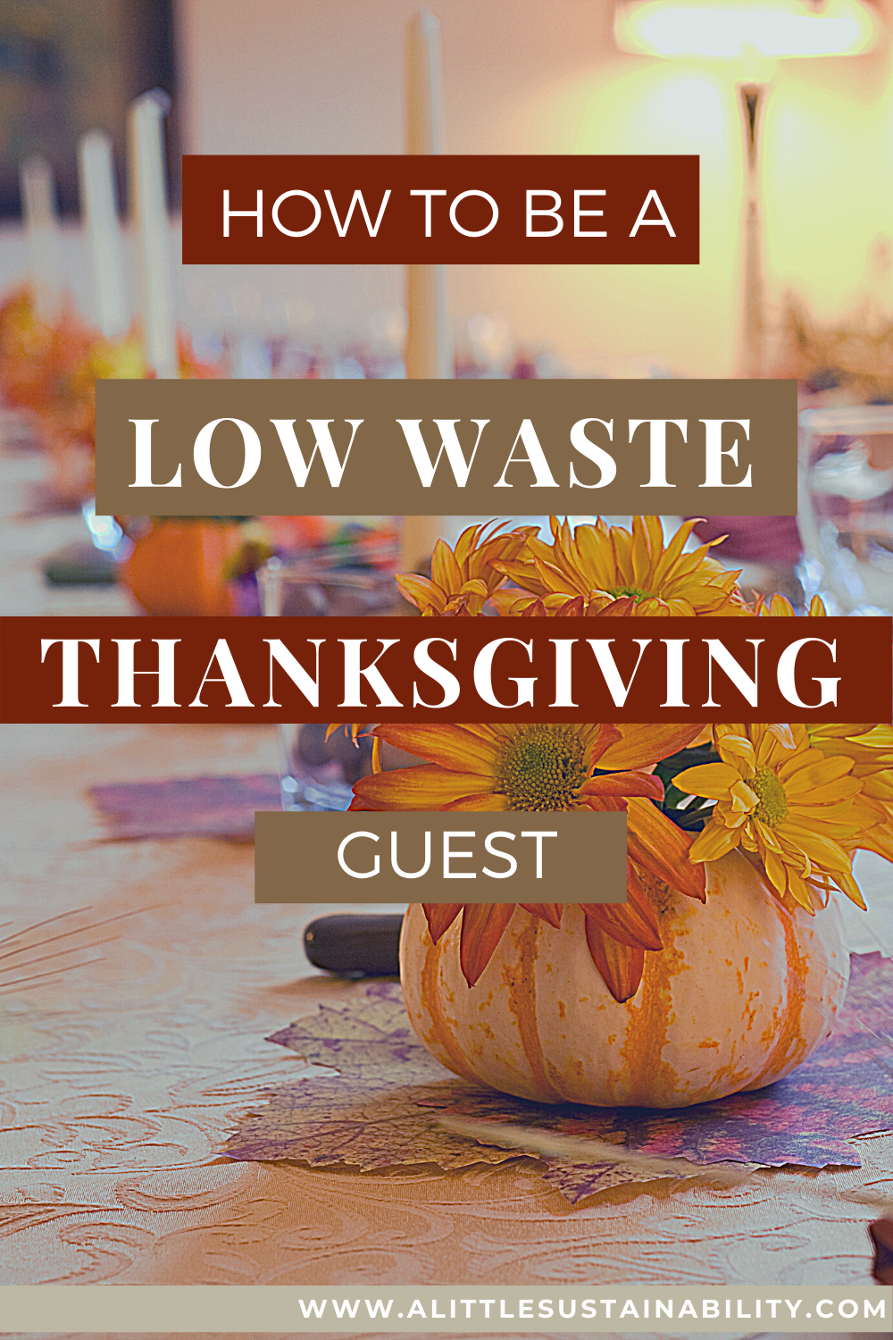 Remain eco-conscious when visiting friends and family for Thanksgiving dinner this Fall, try these 6 ways to be sustainable. 