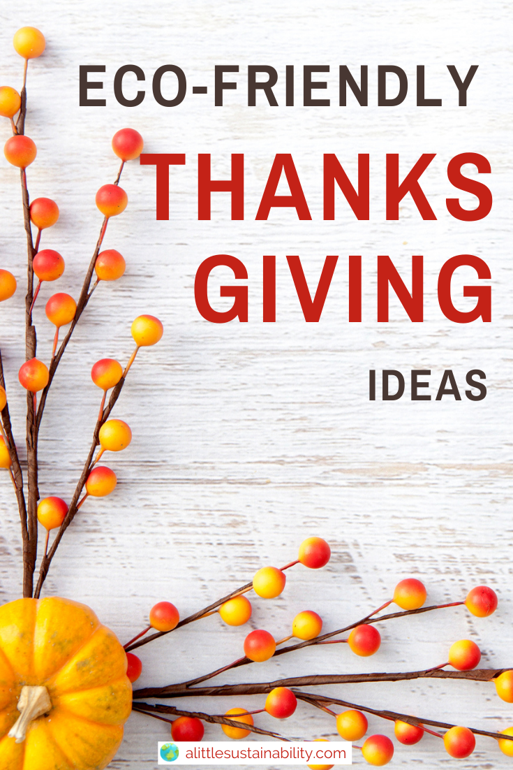 6 Ideas to stay plastic-free this Thanksgiving, even if you are a guest at the dinner table. From plant-based dishes to reusable containers, we’ve got 6 ideas for you to try to stay zero waste this Thanksgiving.